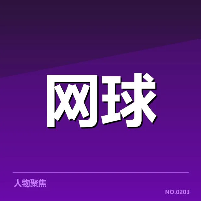 已确认的判罚事实与比赛信息